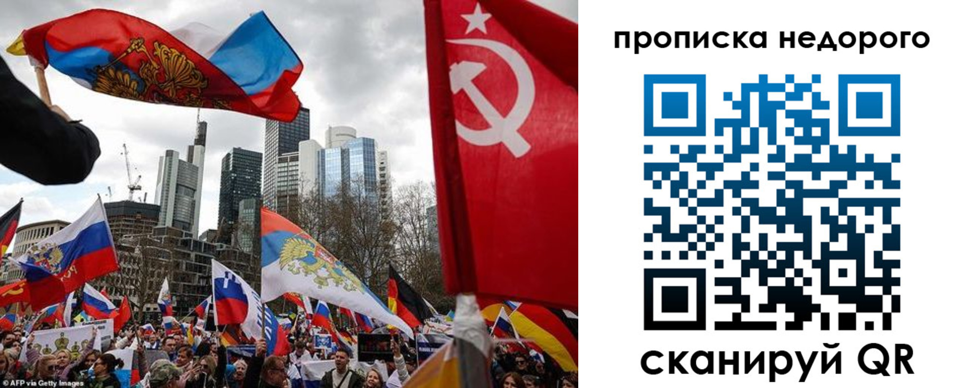 временная регистрация надежно в Волосово